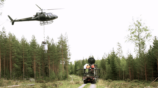 Gjødsling av skog