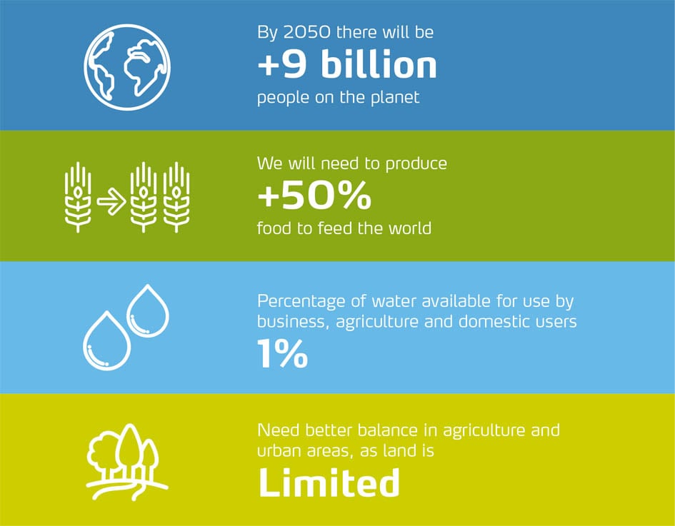 Field fertigation infographic